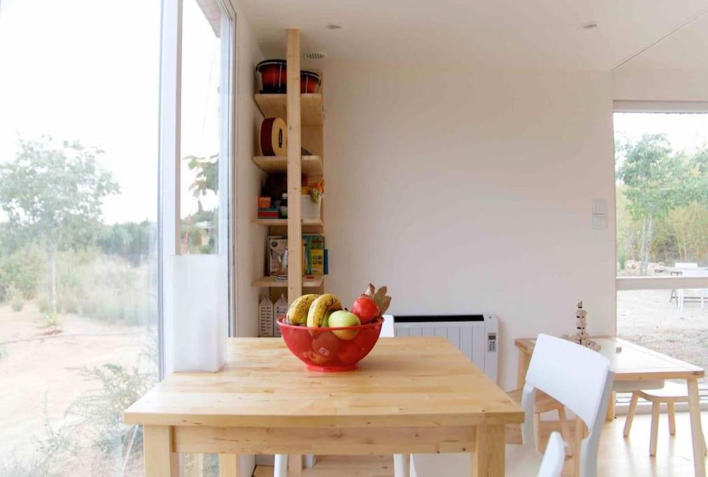 Eco Tiny Home & Office For Digital Nomads Vallmoll Екстериор снимка
