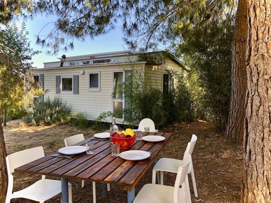 Eco Tiny Home & Office For Digital Nomads Vallmoll Екстериор снимка